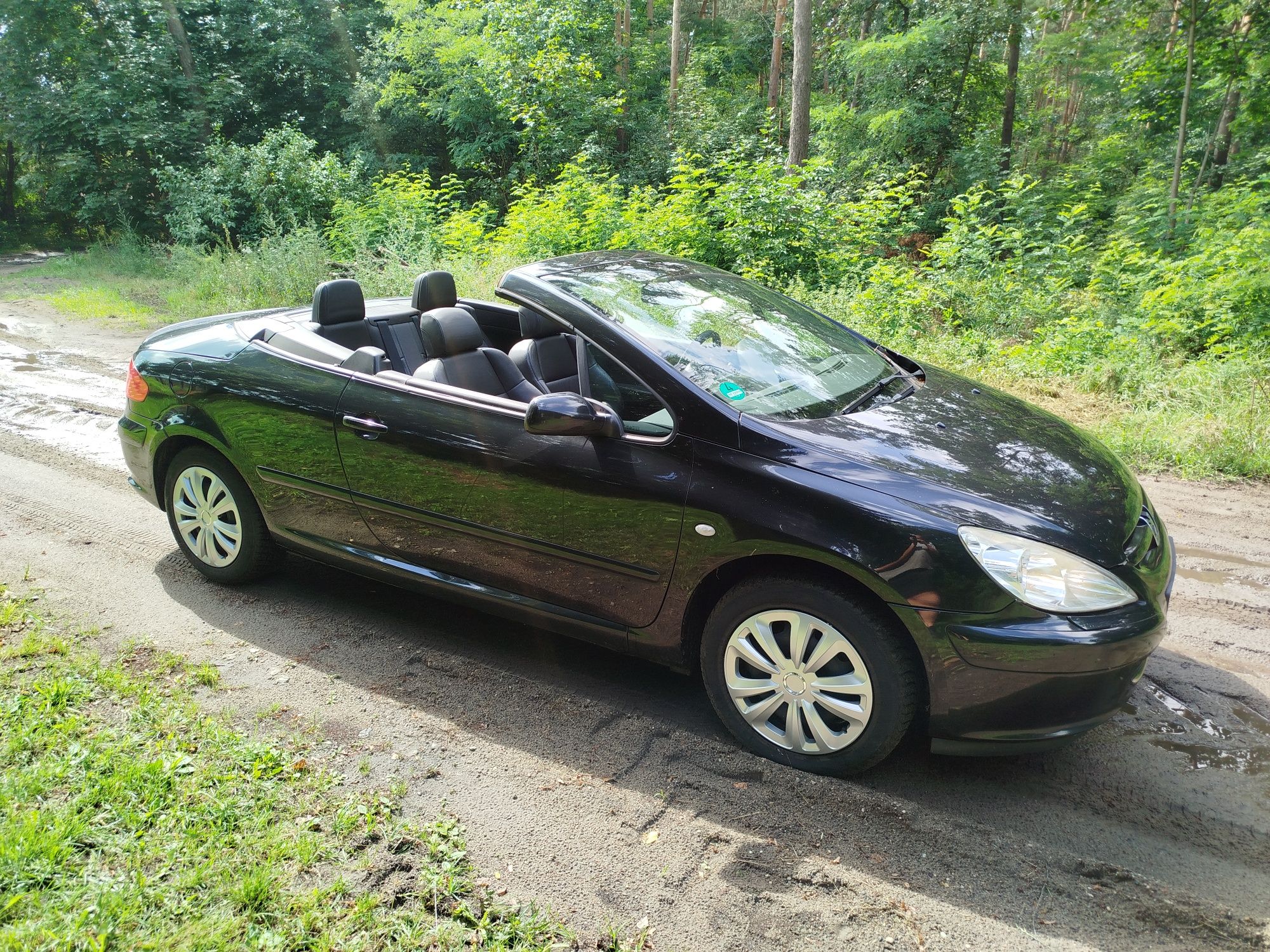 Peugeot 307 CC kabrio