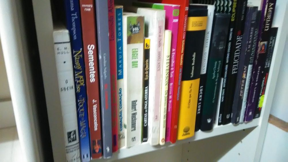 VENDIDOS EM SEPARADO Livros Baratos - lote 9 olival - Entrega IMEDIATA