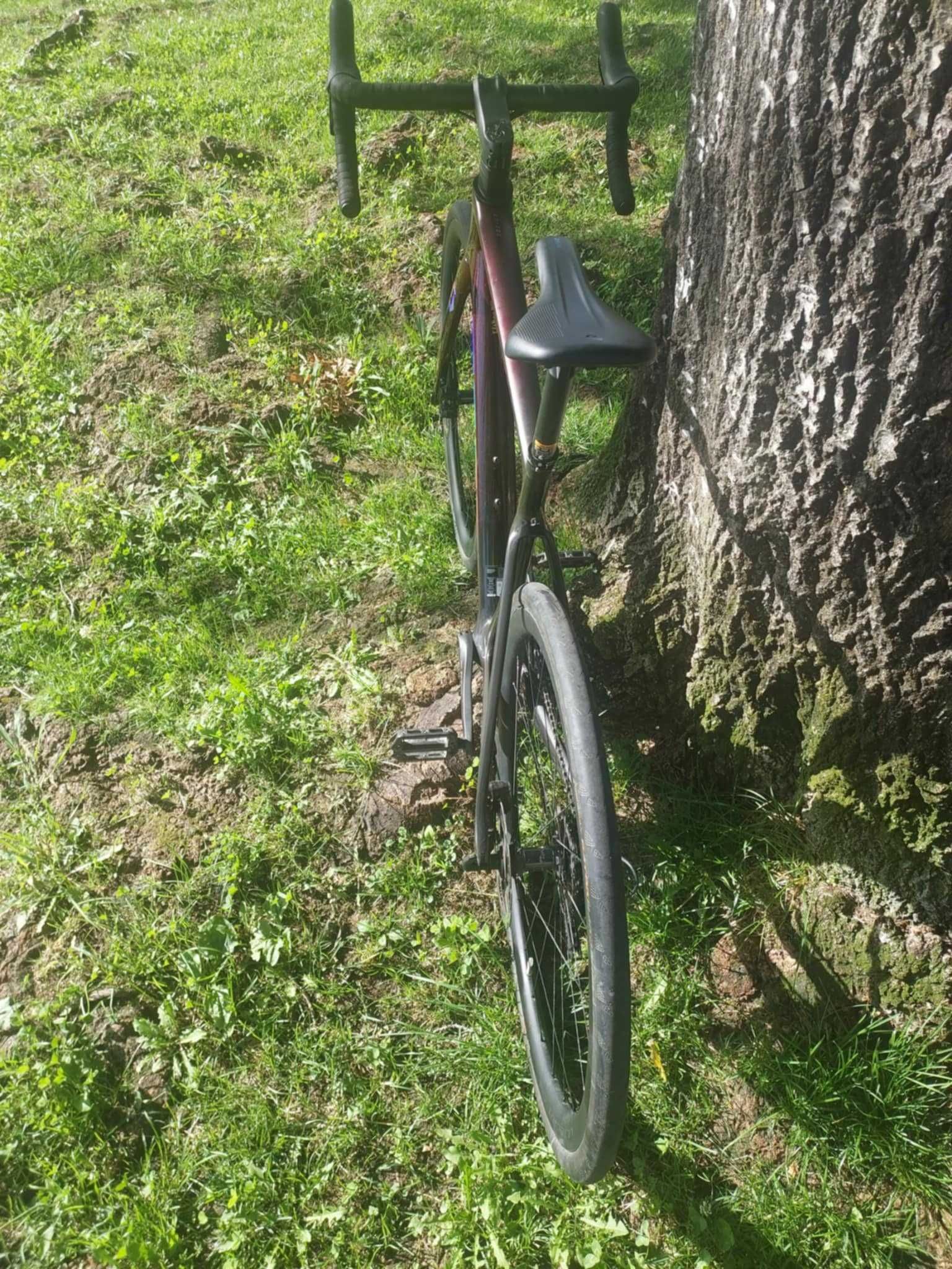 Scott Addict 30 2023 / Upgrade rodas Ultegra
