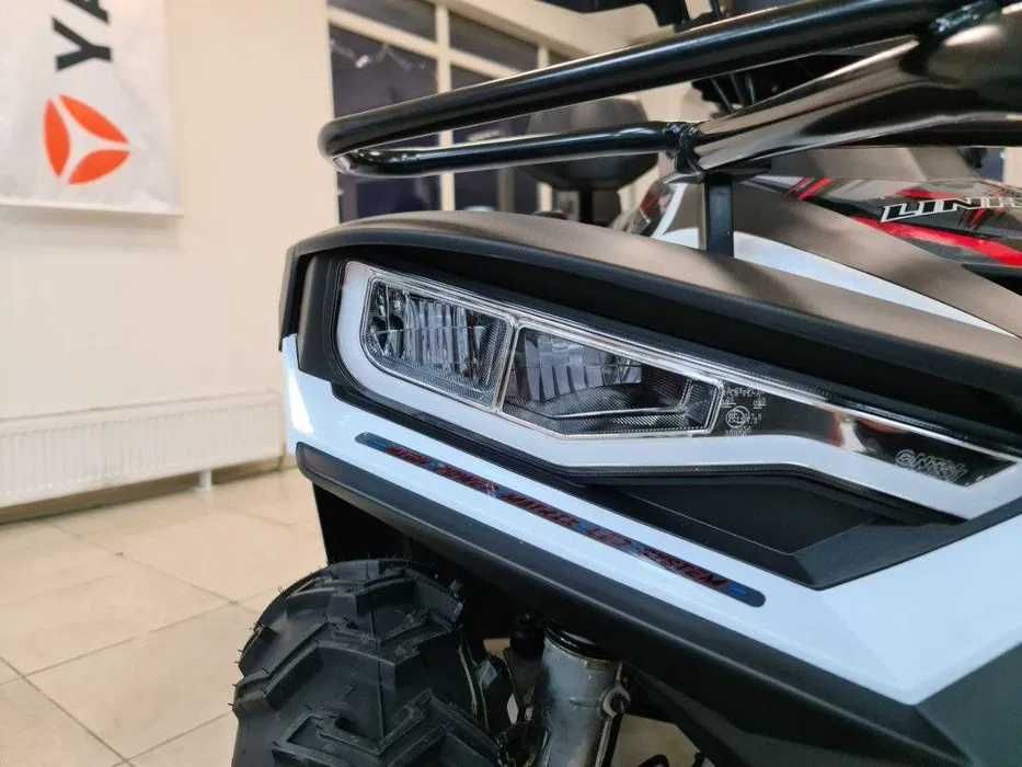 Купити квадроцикл Linhai LH300ATV-D Promax карбюратор в Арт Мото Суми