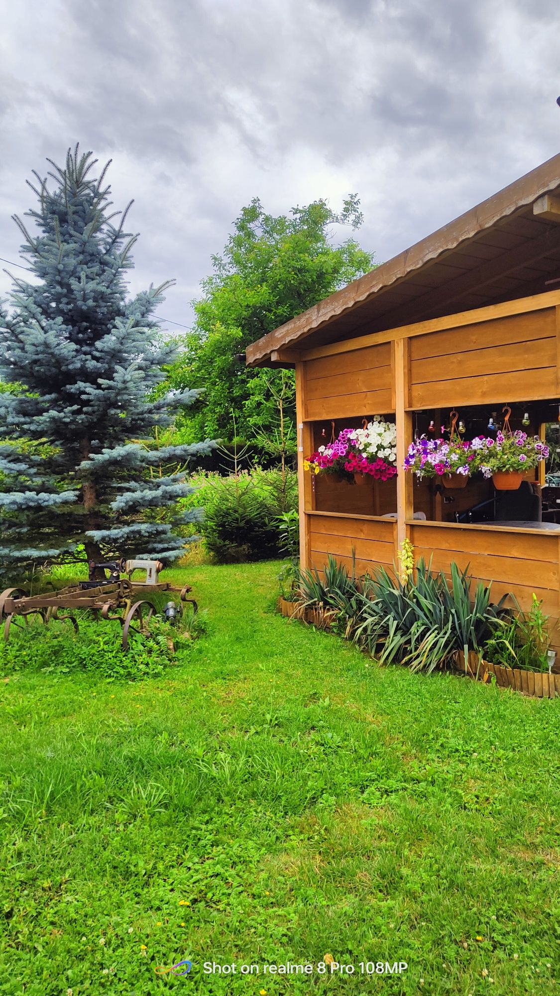 Albinka Pokoje gościnne, kwatera prywatna, apartament, nocleg
