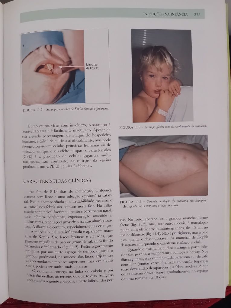 As doenças Infecciosas