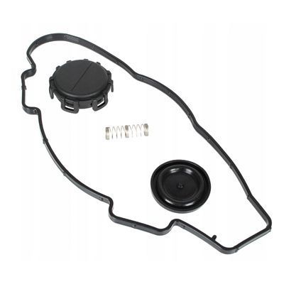 Zestaw Naprawczy Odmy Citroen Peugeot 1.6 Hdi