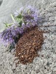 Sprzedam facelie