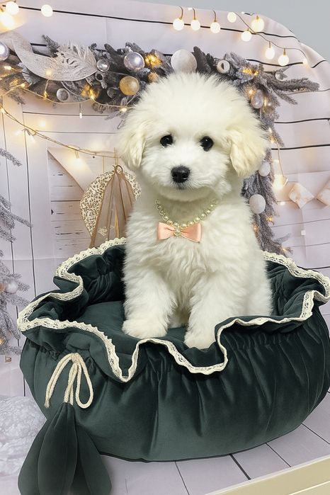 Legowisko dla psa hand made