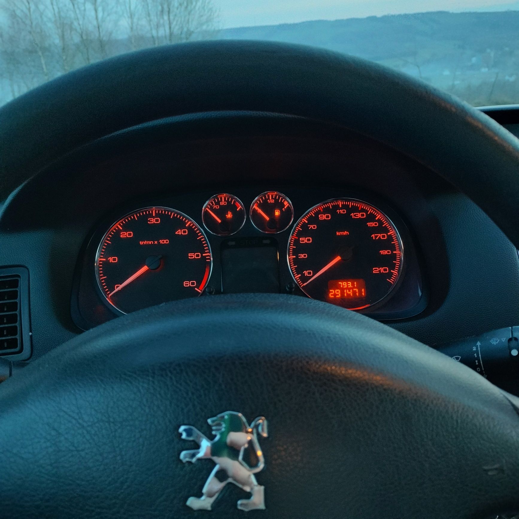 Peugeot 307 1.6 HDI 2006