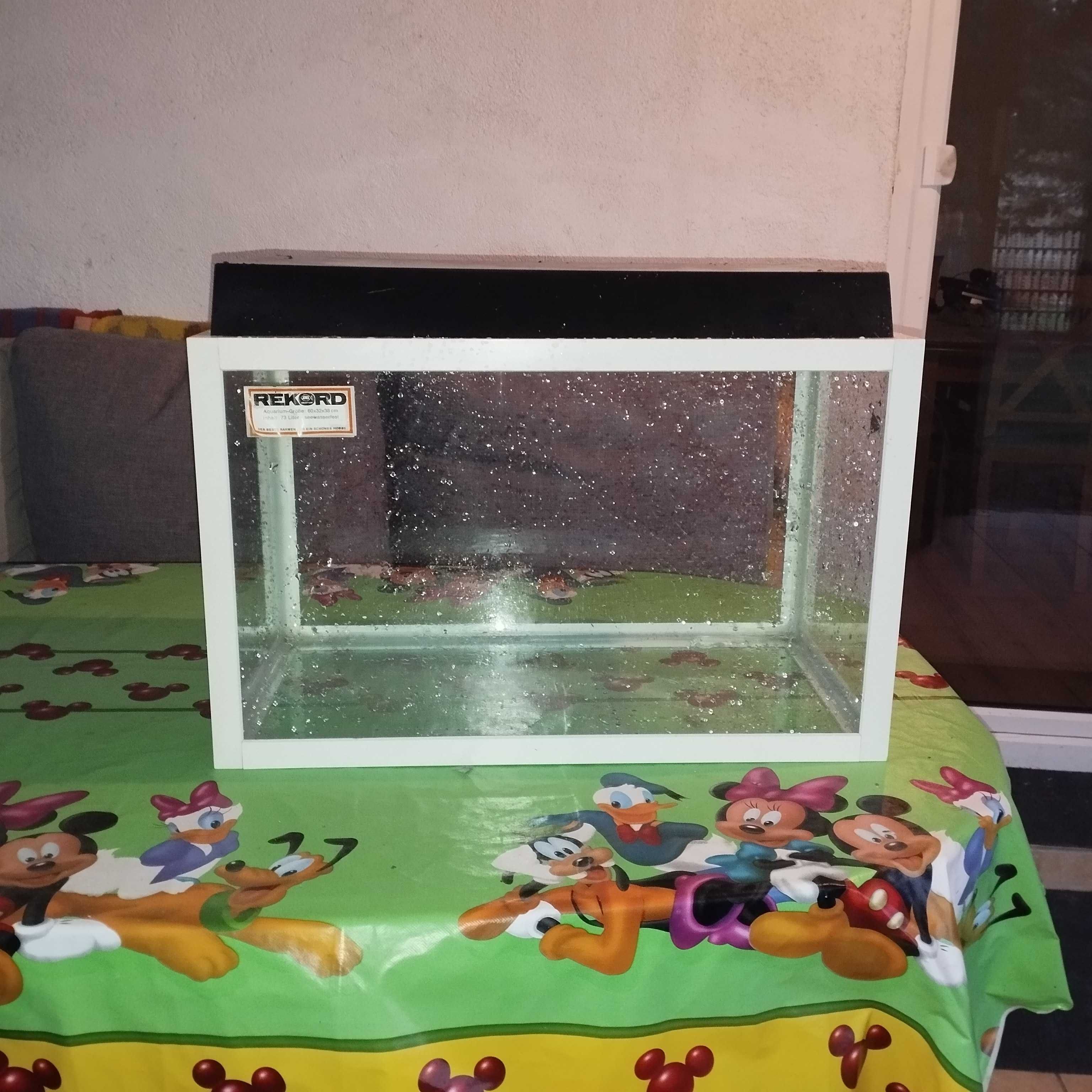 Akwarium 61x38x32 + pokrywa dużo modeli w ofercie
