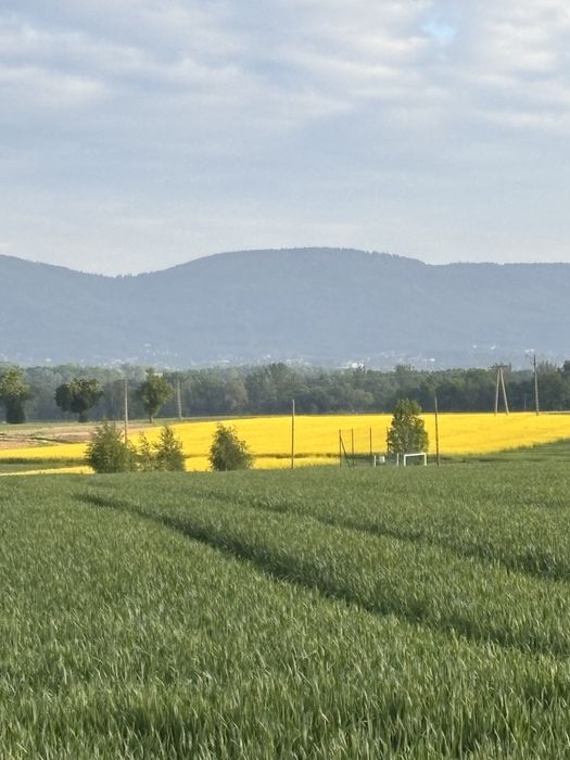 Duza dzialka budowlana z domem