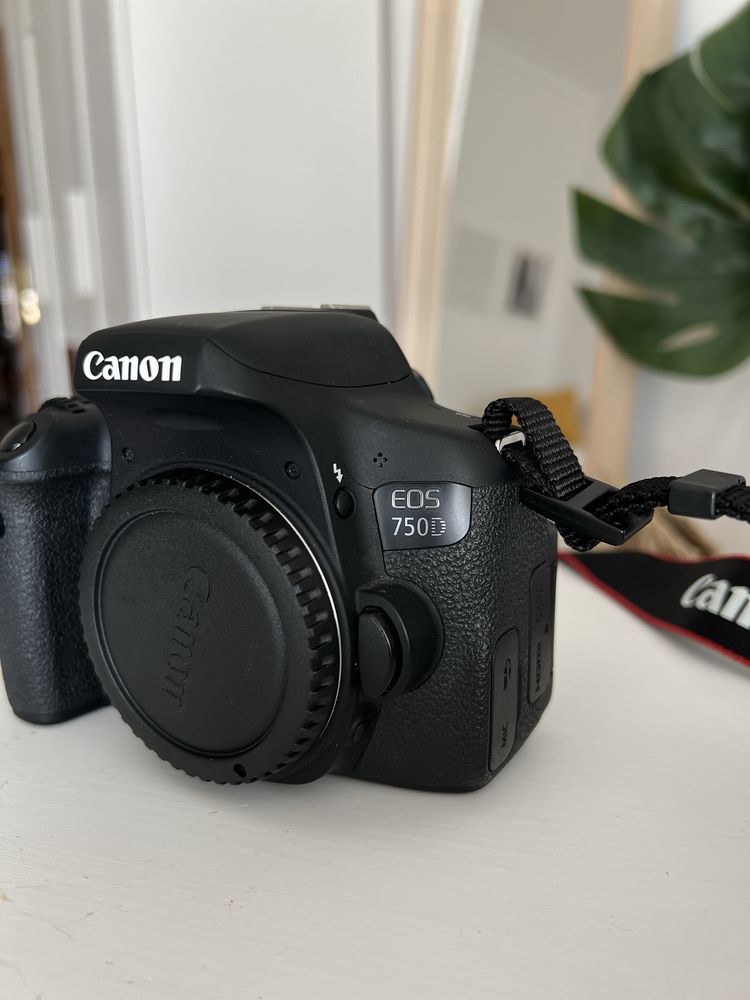 Canon EOS 750D 24.2 MP
