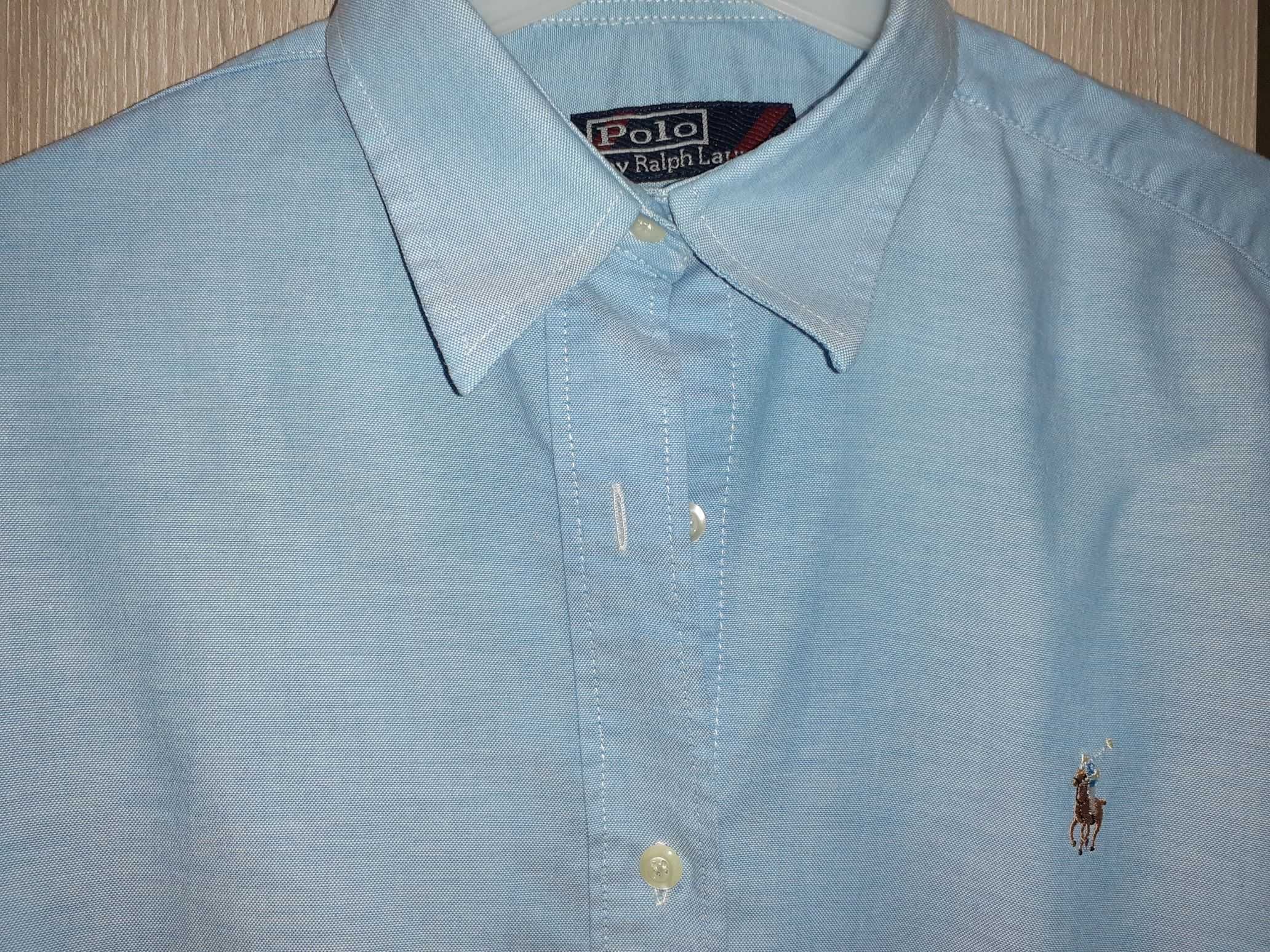 10 Camisas (Ralph Lauren, Gant, Zara) - do S ao XL