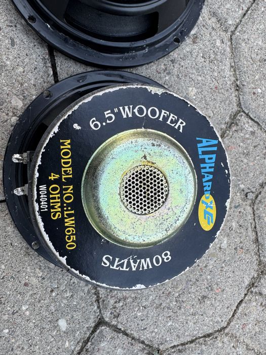 Glosniki niskotnowe Alphard LW650 80W 2 sztuki