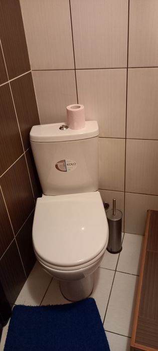 Здам 1-кімнатну квартиру в центрі міста