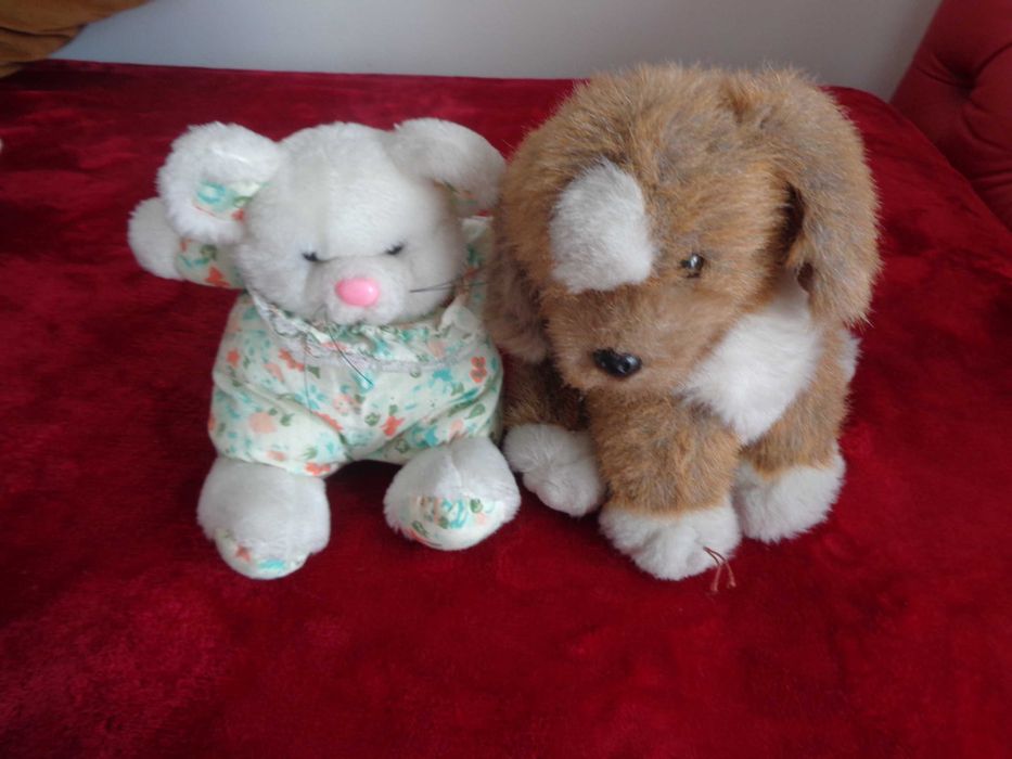Os amigos Peluches procuram novo quarto