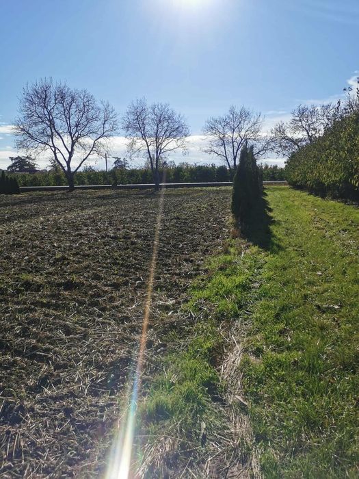 Działka  na sprzedaż 7053 m przy drodze asfaltowej