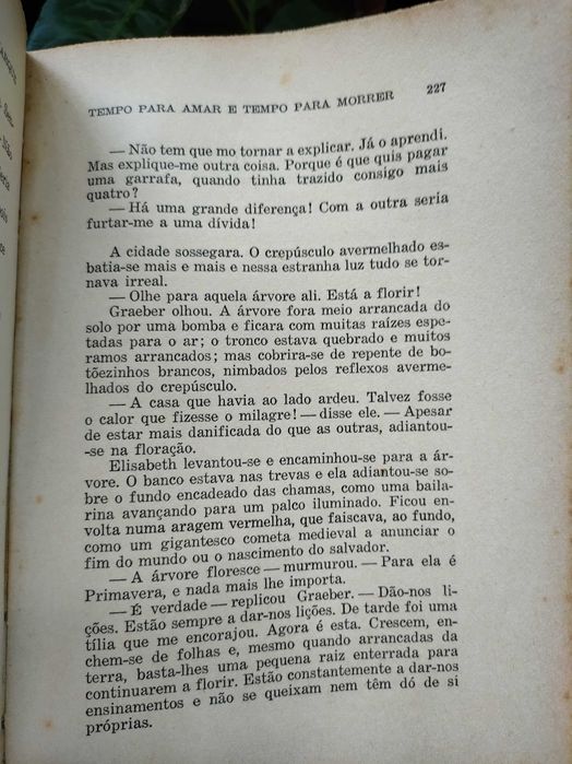 Tempo para amar e tempo para morrer (Erich Maria Remarque)