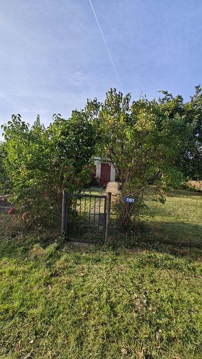 Działka ROD Mikolaja Reja, 300m2