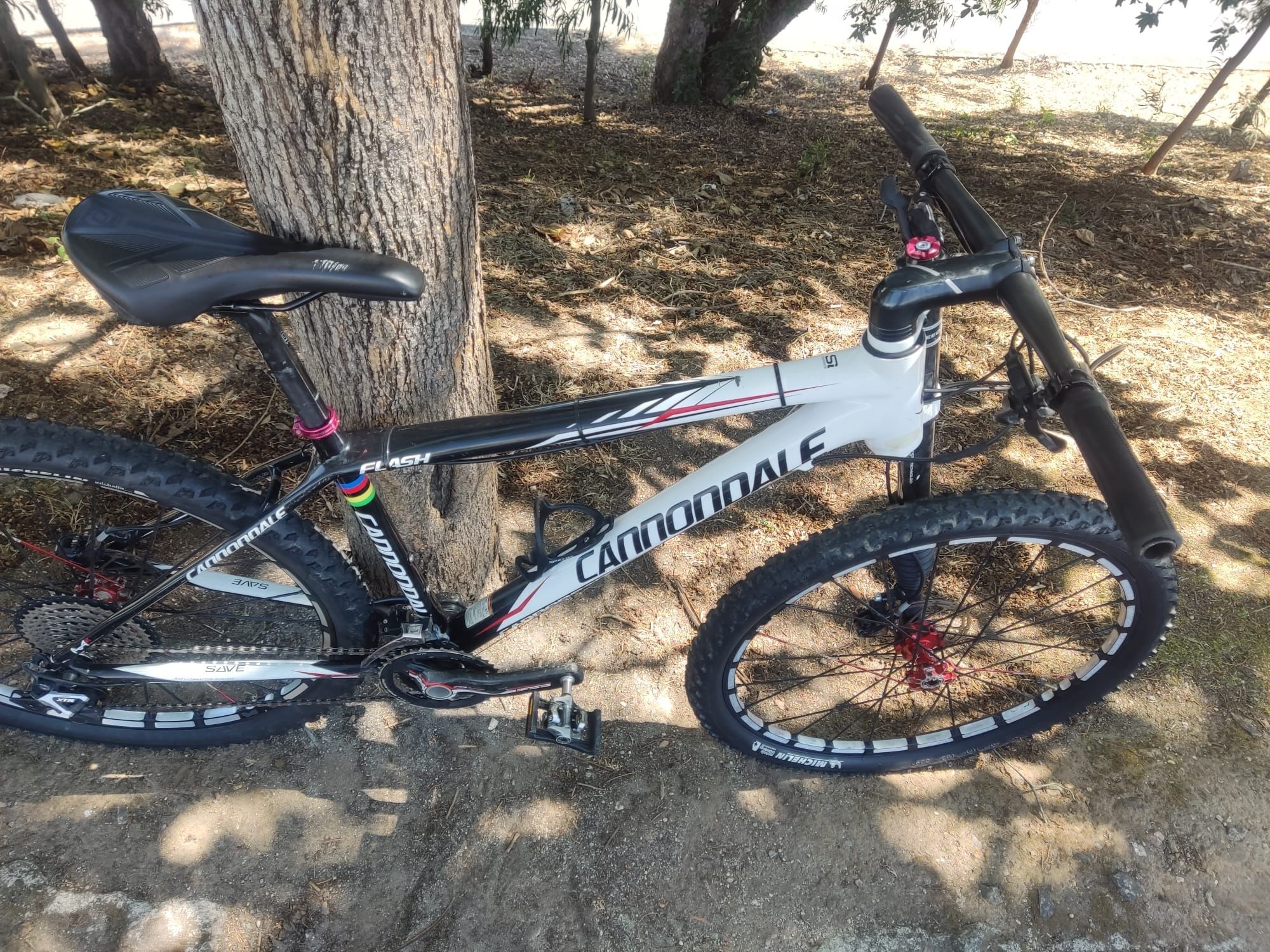 Cannondale carbono lefty e rodas slr