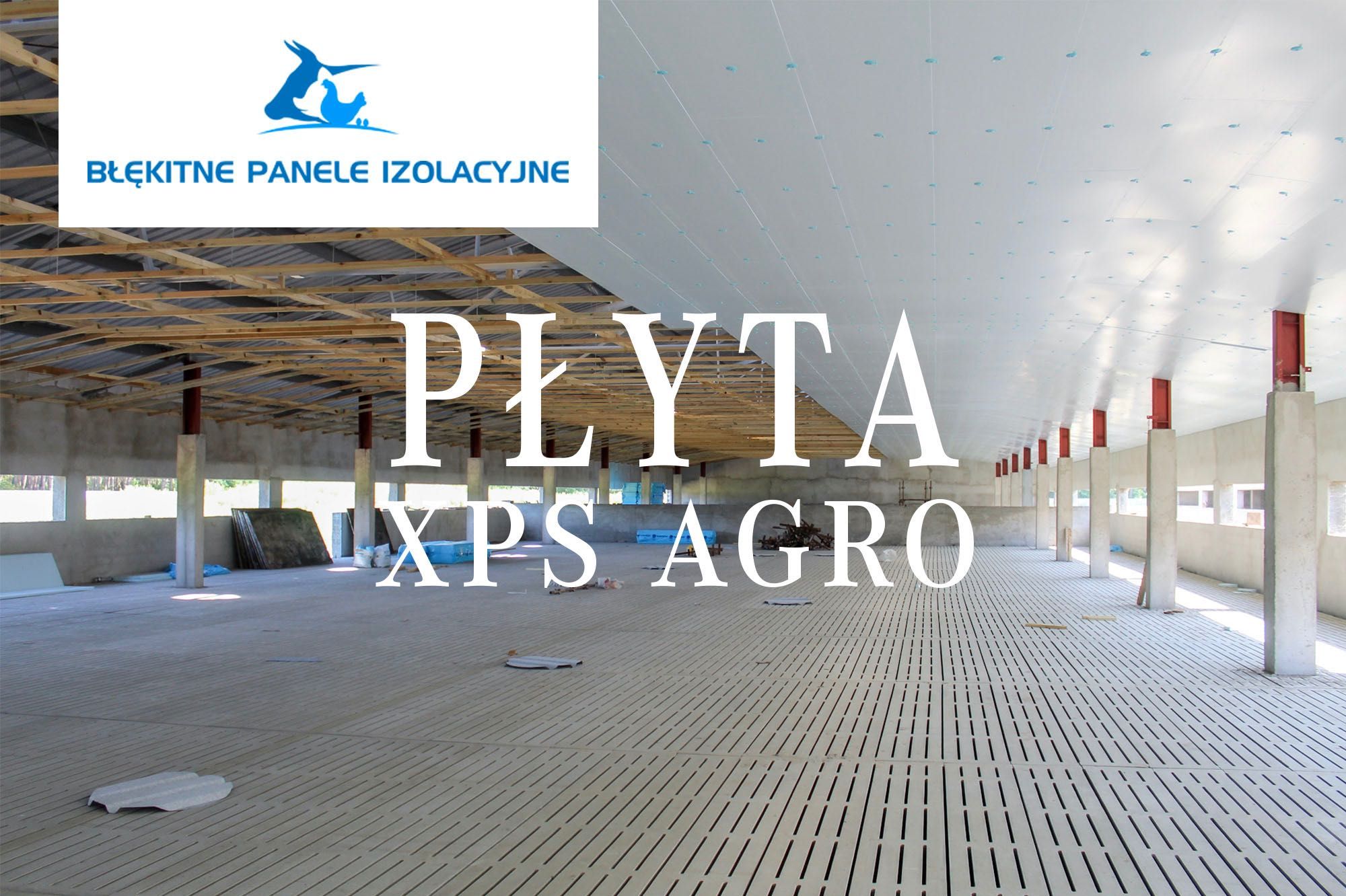 Płyty Ocieplające Izolacja Termiczna Thermo Podbitka Styrodur XPS AGRO