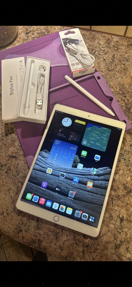 Tablet iPad Apple —PRO —256gb - Touch ID - PROCREATE