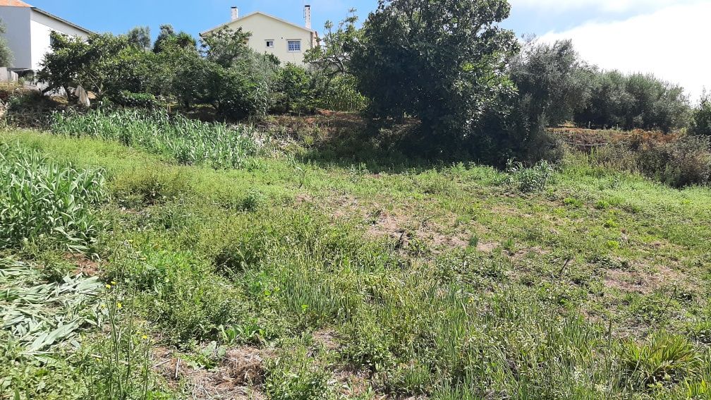 Terreno rustico p/ venda