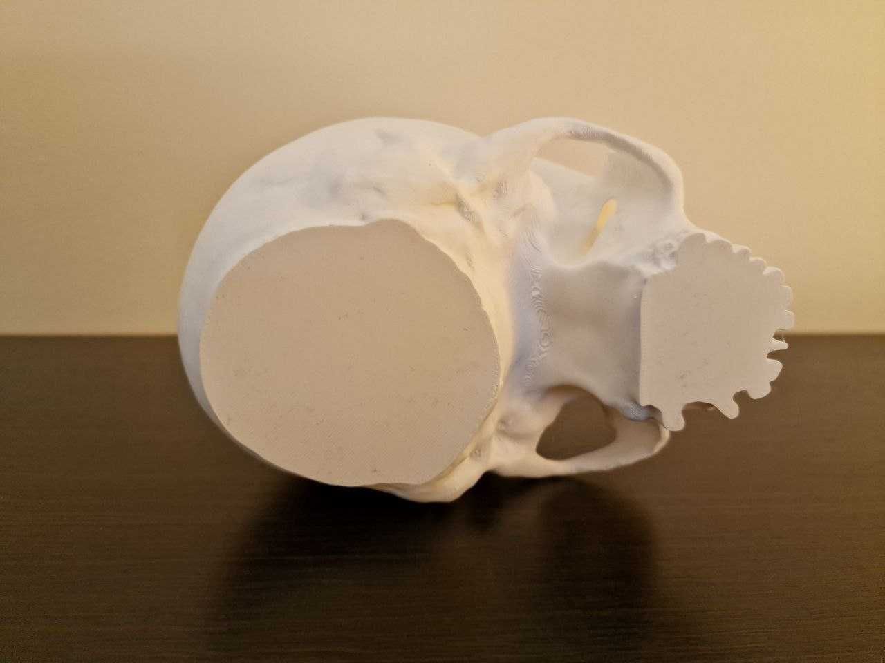 Czacha pojemnik/koszyk na cukierki/słodycze SKULL CANDY 3D