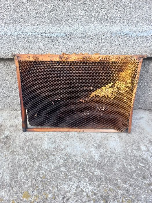 Продам рамки,суш