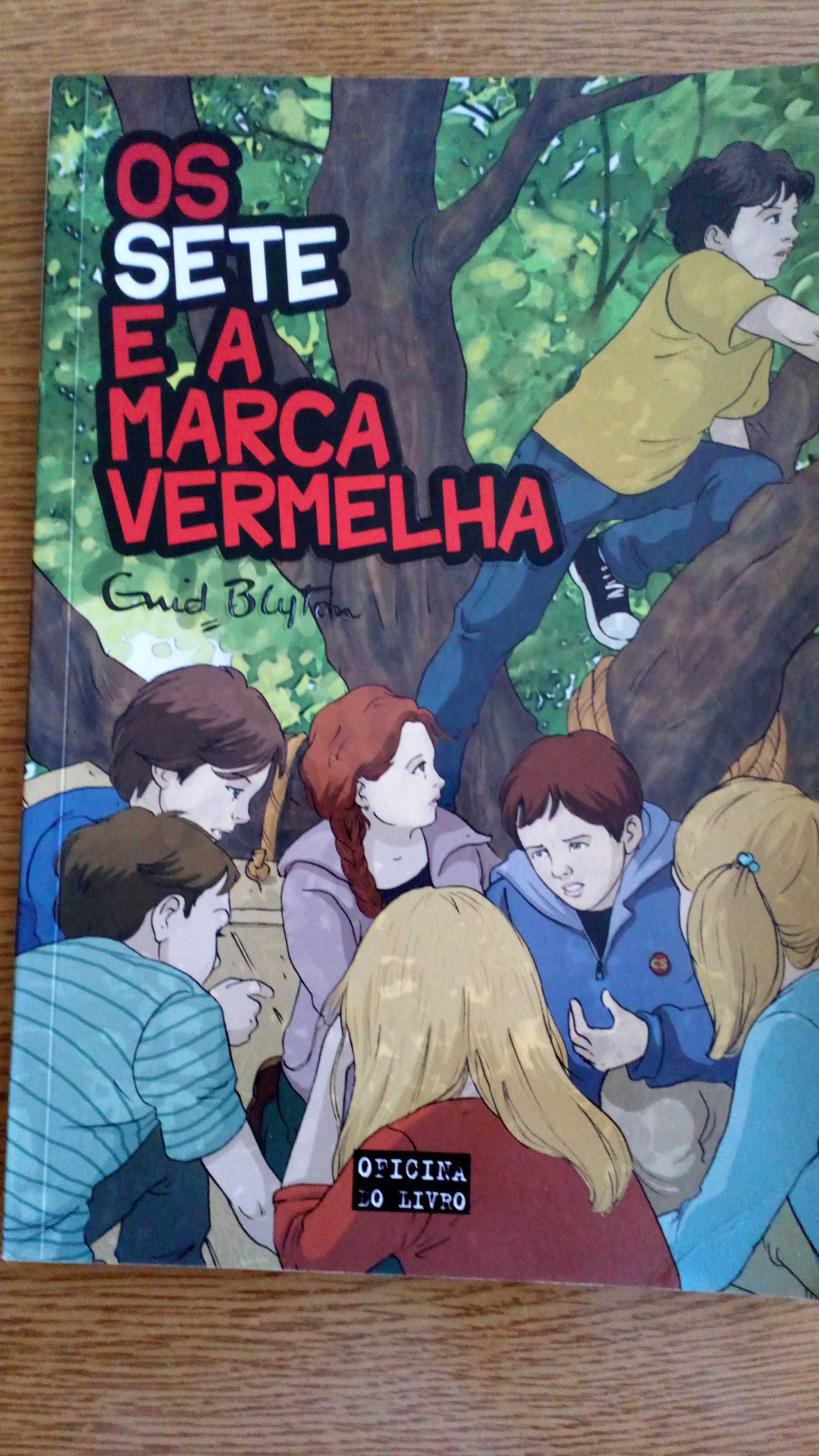 Os 7 e a marca vermelha, de Enid Blyton