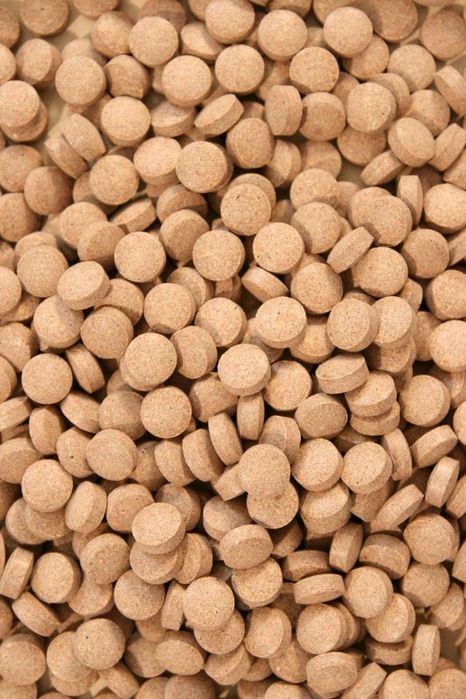 shrimpstablets pokarm dla krewetek 50 g