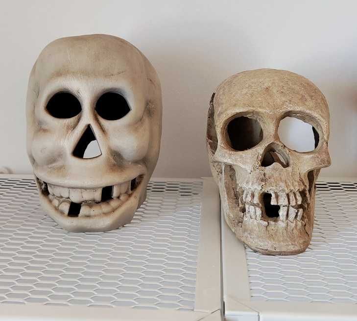 caveiras de decoração