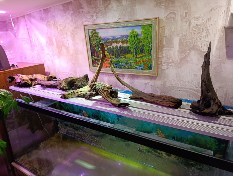 Акваріум 450 літрів повний комплект.