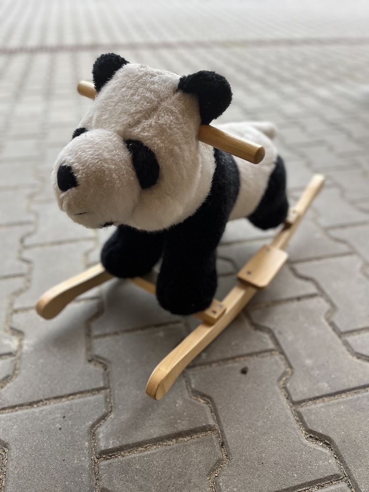 Bujak na biegunach miś panda