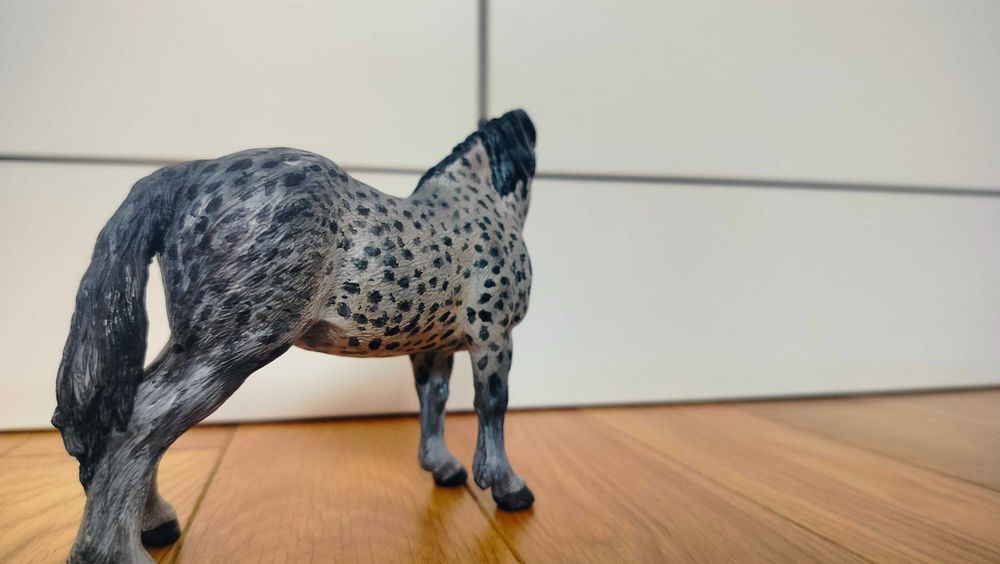 Custom klacz Suffolk Punch Mojo