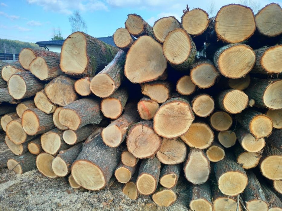 Drewno opałowe liściaste i iglaste