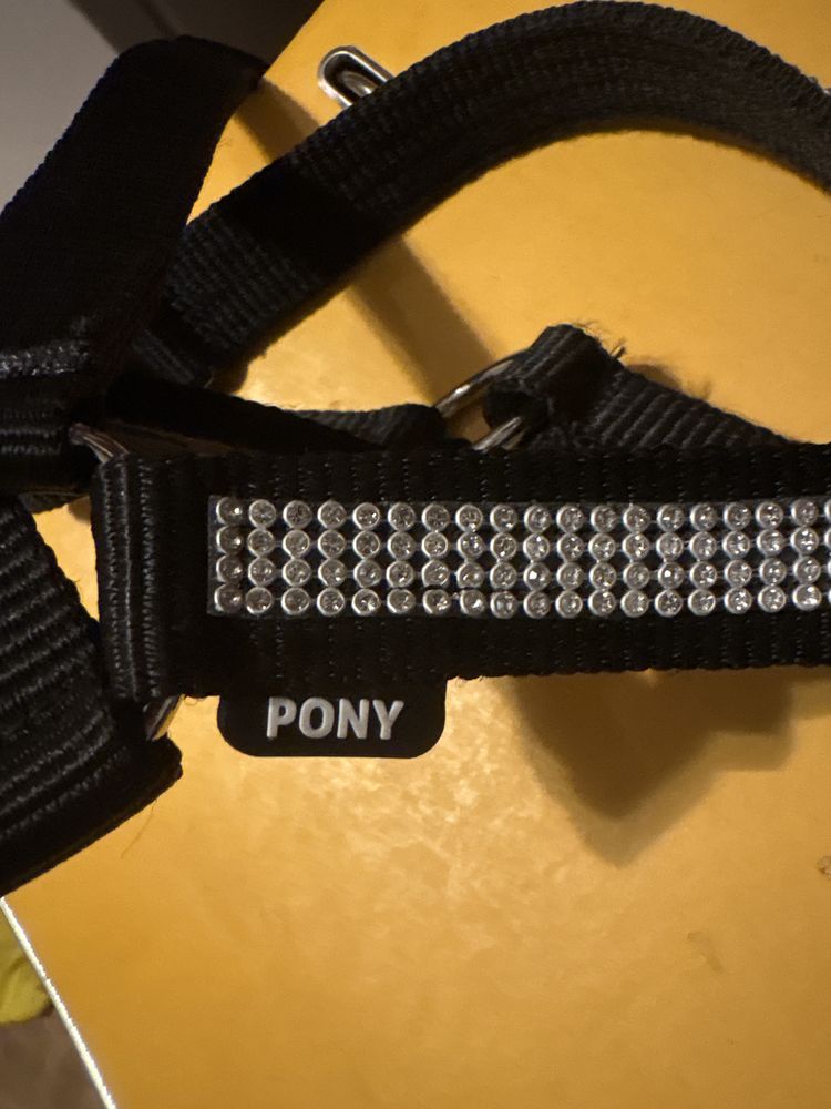 Kantar czarny z błyskiem, bardzo porządny, Horka Pony