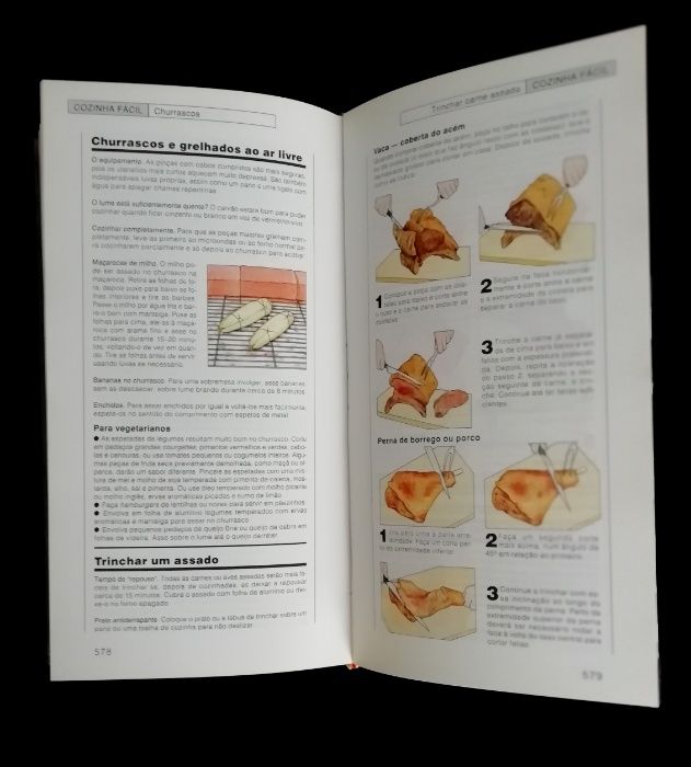 Livro Ideias Práticas & Soluções Rápidas, 1ª Edição