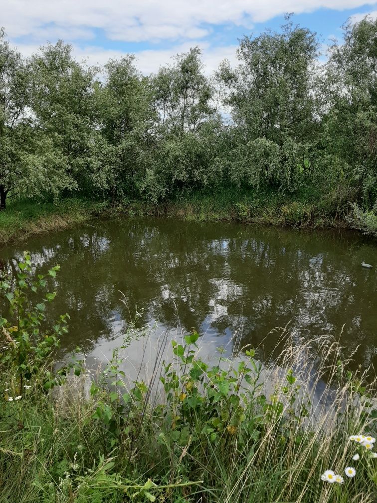 Продається хата  з ставком  ,в с.Брусенки.Кицманский р.