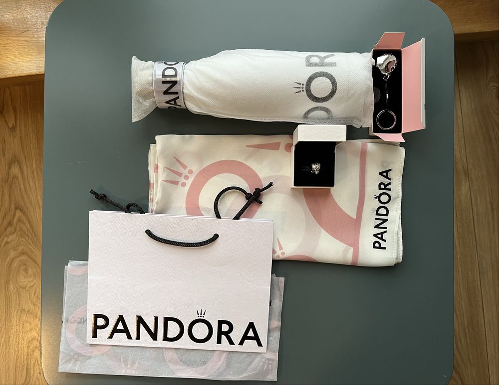 Zestaw dla fanki Pandora charms Winiper