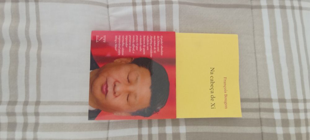 Livro na cabeça de Xi