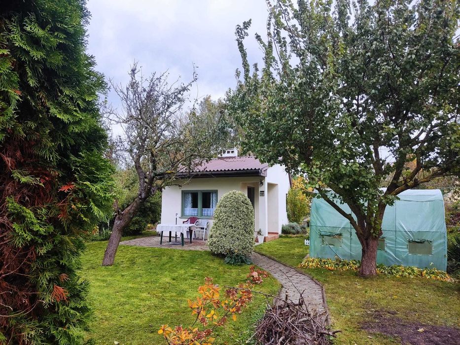 Działka rekreacyjna ROD Śrem przy jeziorze