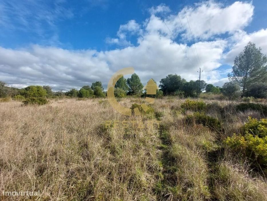 Terreno em Azeitão para venda com 10.000m2