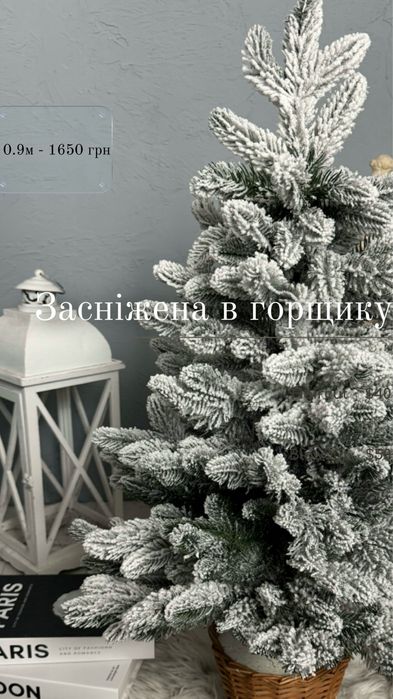 Ялинка в горщику 0.9м