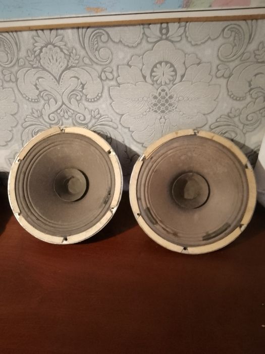Динамік ще совєтської епохи 30 ГД 301
