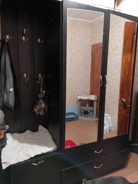 Шафа в передпокій