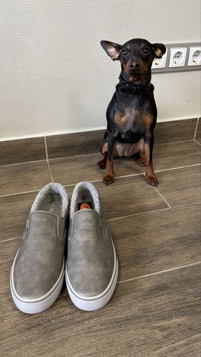 Флісові дофери lugz сірого кольору