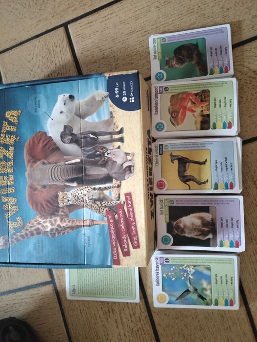 Gra edukacyjna dla dzieci Niesamowite zwierzęta