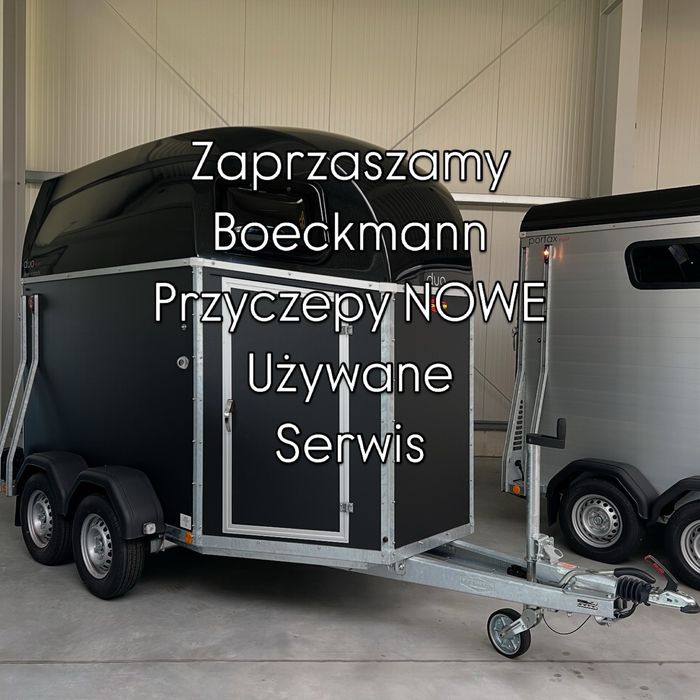 Wynajem przyczep dla koni  1000kgDMC na kat B  Solnica Gdansk Elblag