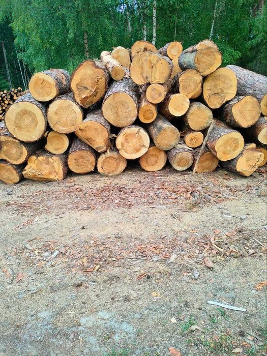 Sprzedam drewno opałowe grube