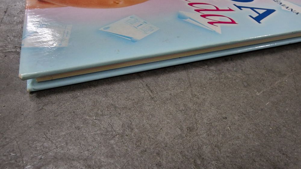 Agenda Livro gravida