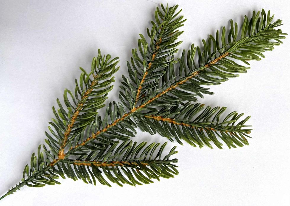 Sztuczne gałązki świerk/sosna