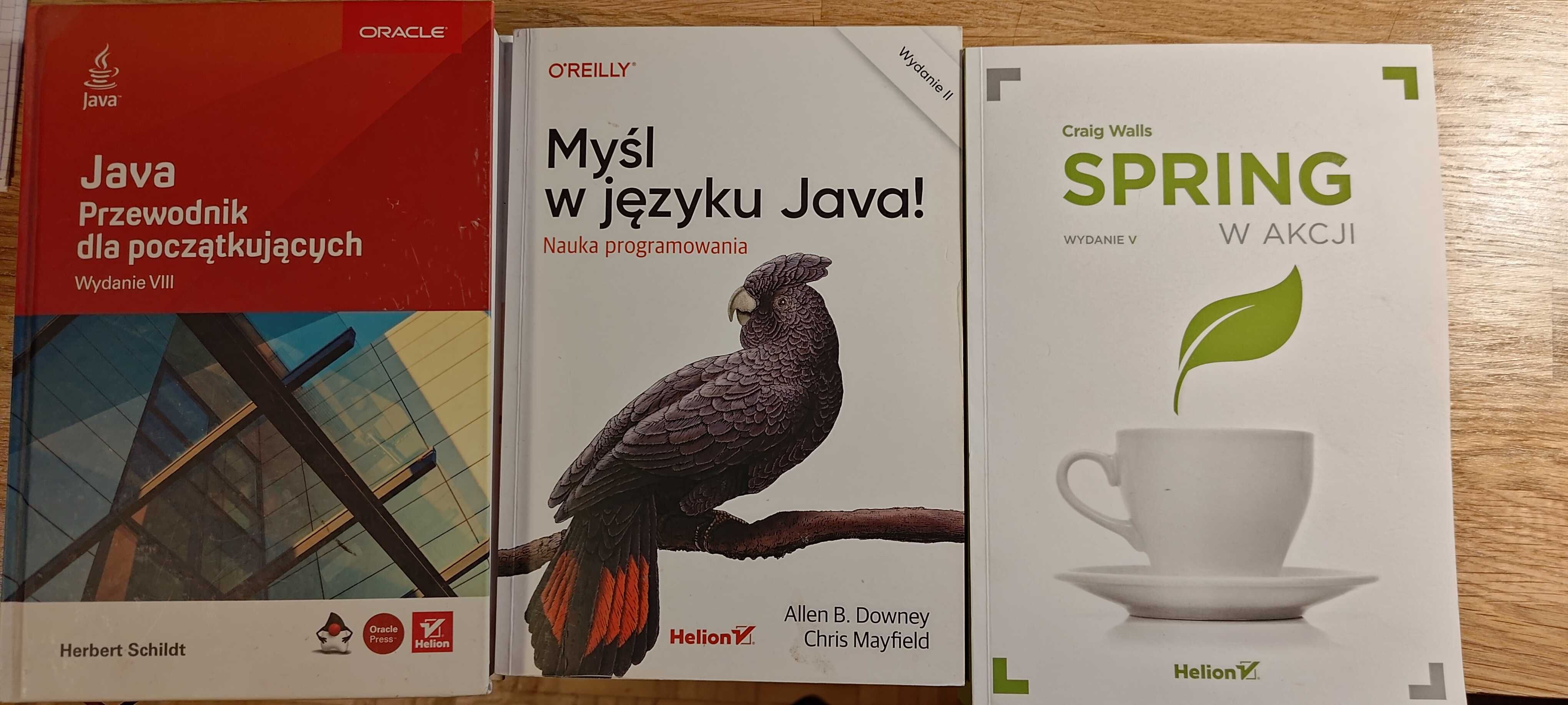 Myśl w języku java, spring w akcji, java przewodnik dla początkujących